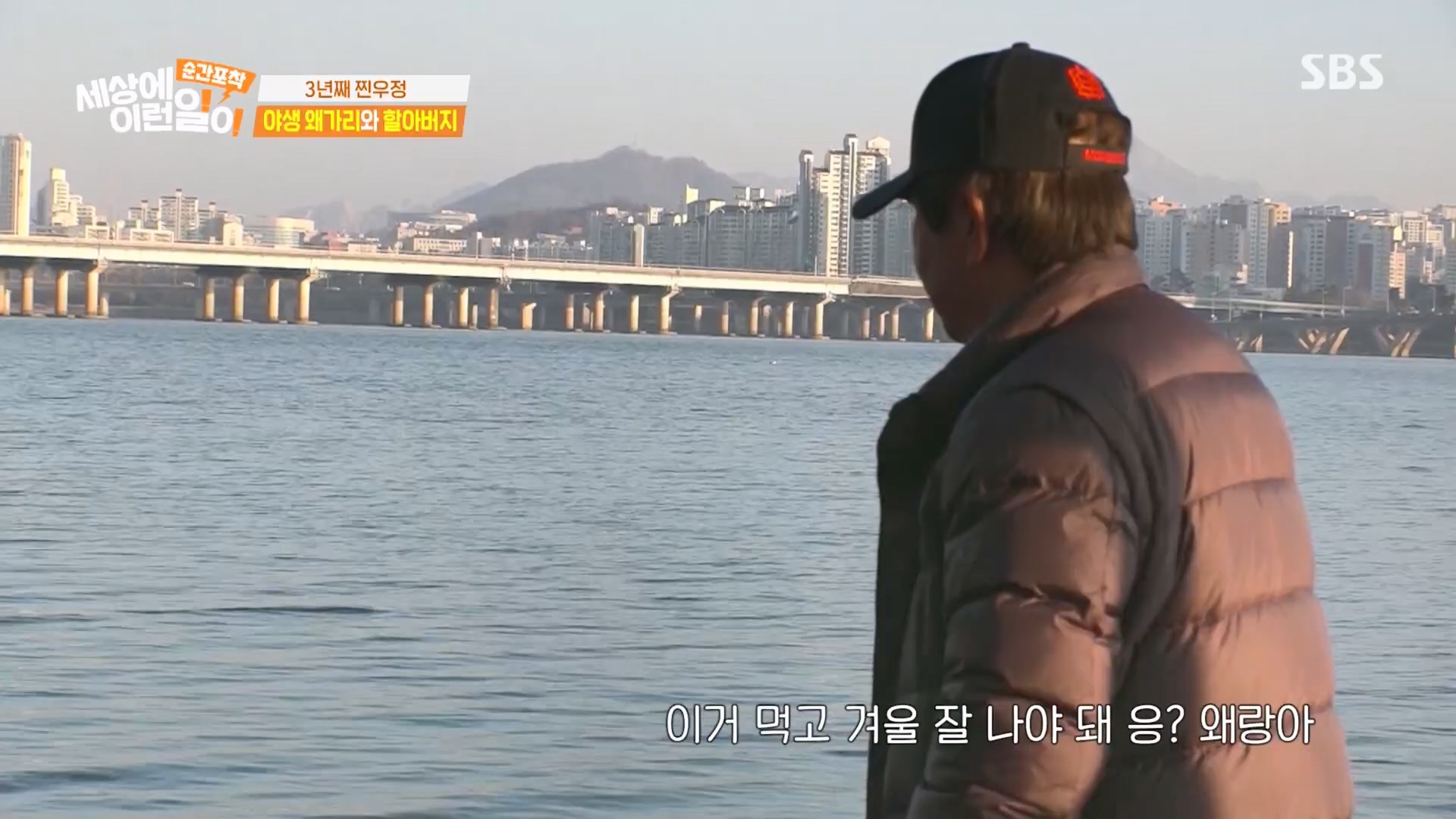 순간포착 세상에 이런일이.E1260.240113p.H264-F1RST.mp4_20240114_200331.810.jpg