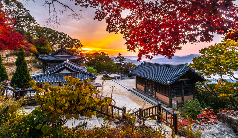경주 동궁과 월지 야경, 이건 꼭 봐야 해!