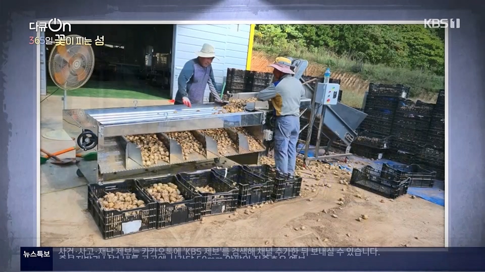 다큐 On.E201.230610p.H264-F1RST.mp4_20230611_165937.700.jpg