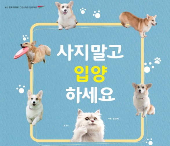 파란 배경에 여러마리의 강아지와 고양이가 있는 포스터