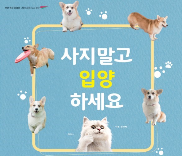 유기동물 입양비 지원, 지원금액, 지원방법