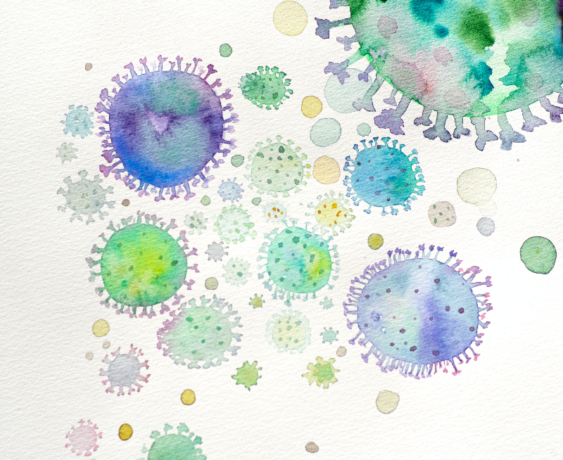 박테리아의 형태를 묘사한 수채화 그림