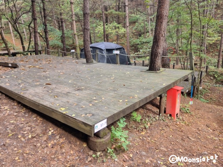 하늘그린캠프, 숲속의 33