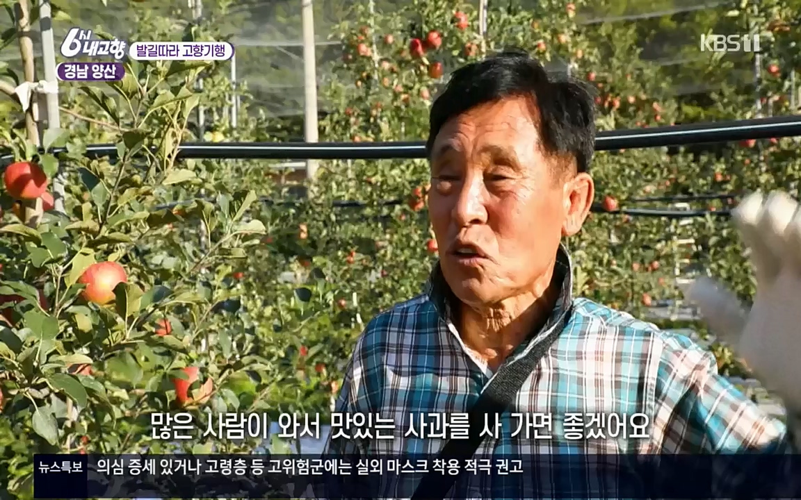 6시 내고향.E7630.221004p.H264-F1RST.mp4_20221004_213258.383.jpg