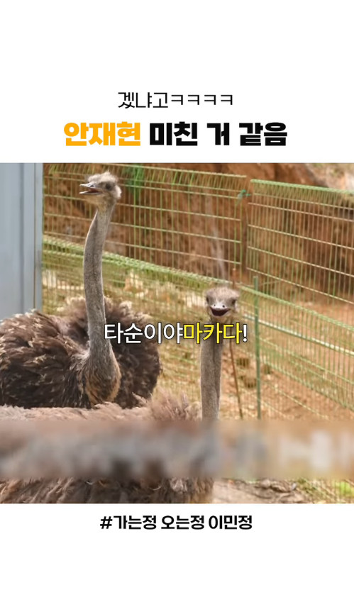 제2의 김종민이라고 말 나오고 있는 배우...jpg | 인스티즈