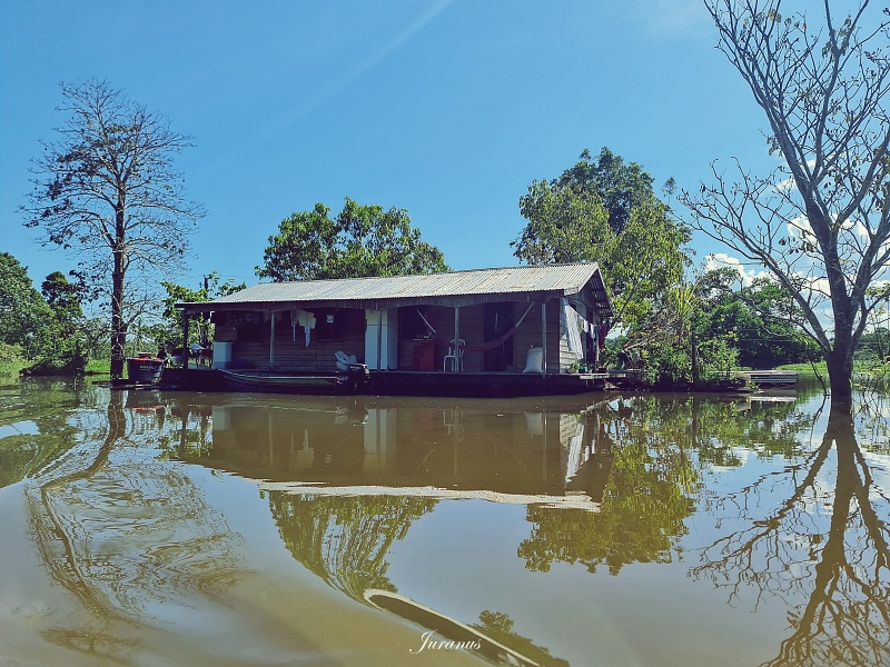 Amazon River 13