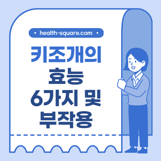 키조개의 효능 6가지 및 부작용