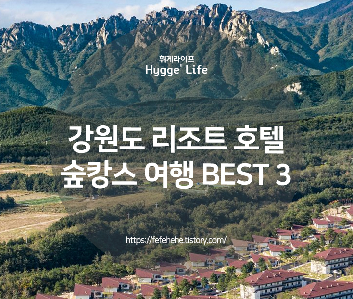  휴식으로 가득 채운 '숲캉스' 강원도 리조트 BEST 3