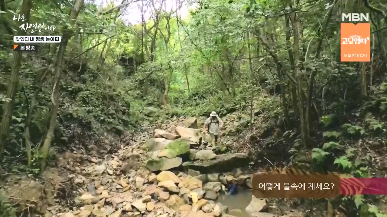 나는 자연인이다.E569.230831p-NEXT.mp4_20230831_201755.954.jpg