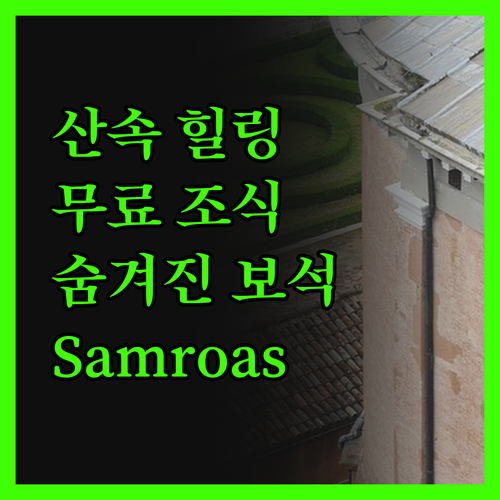Samroas Homestay 숨겨진