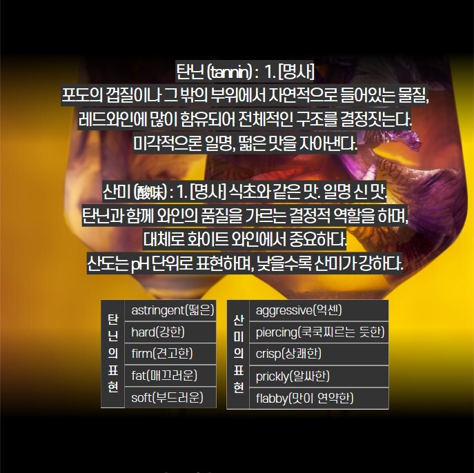 탄닌 이미지