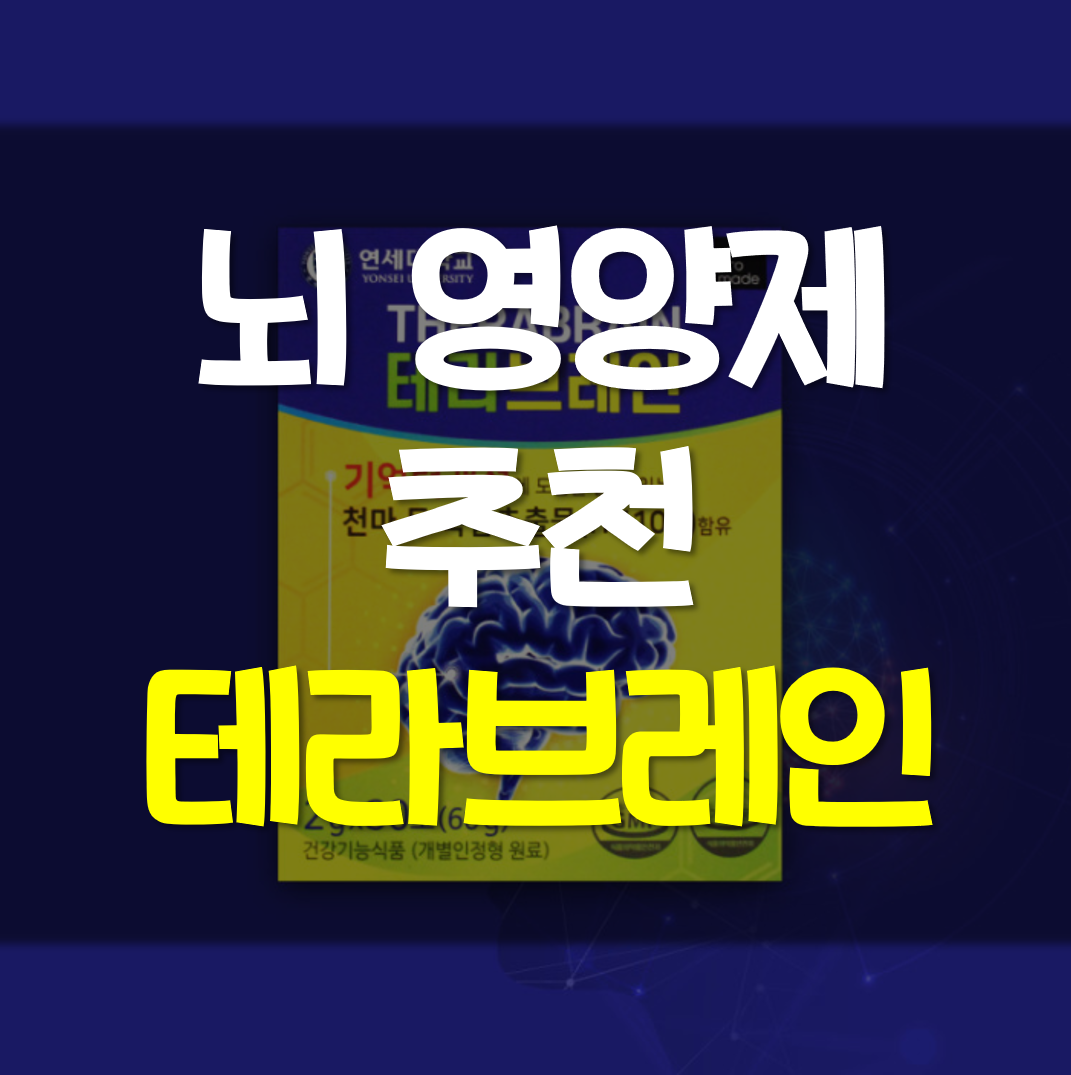  뇌 영양제 테라브레인 추천 가격