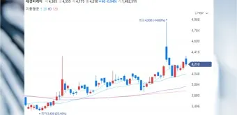 폭설 대장주 관련주 TOP5_23