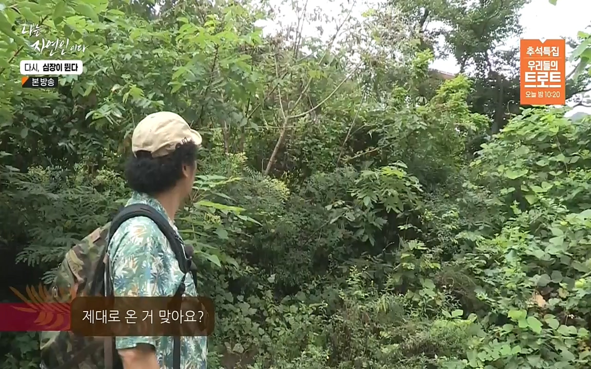 나는 자연인이다.E519.220915p-NEXT.mp4_20220915_201132.734.jpg
