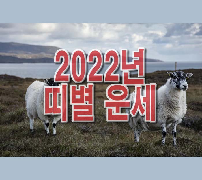  2022년 띠별 운세 알아보기