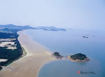 신안 임자도 튤립축제 기간 입장료 가볼만한 곳 총정리_10
