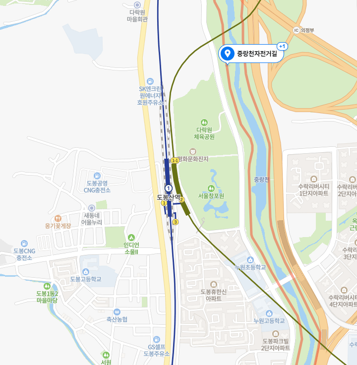 도봉구 중랑천변, 창포원 벚꽃