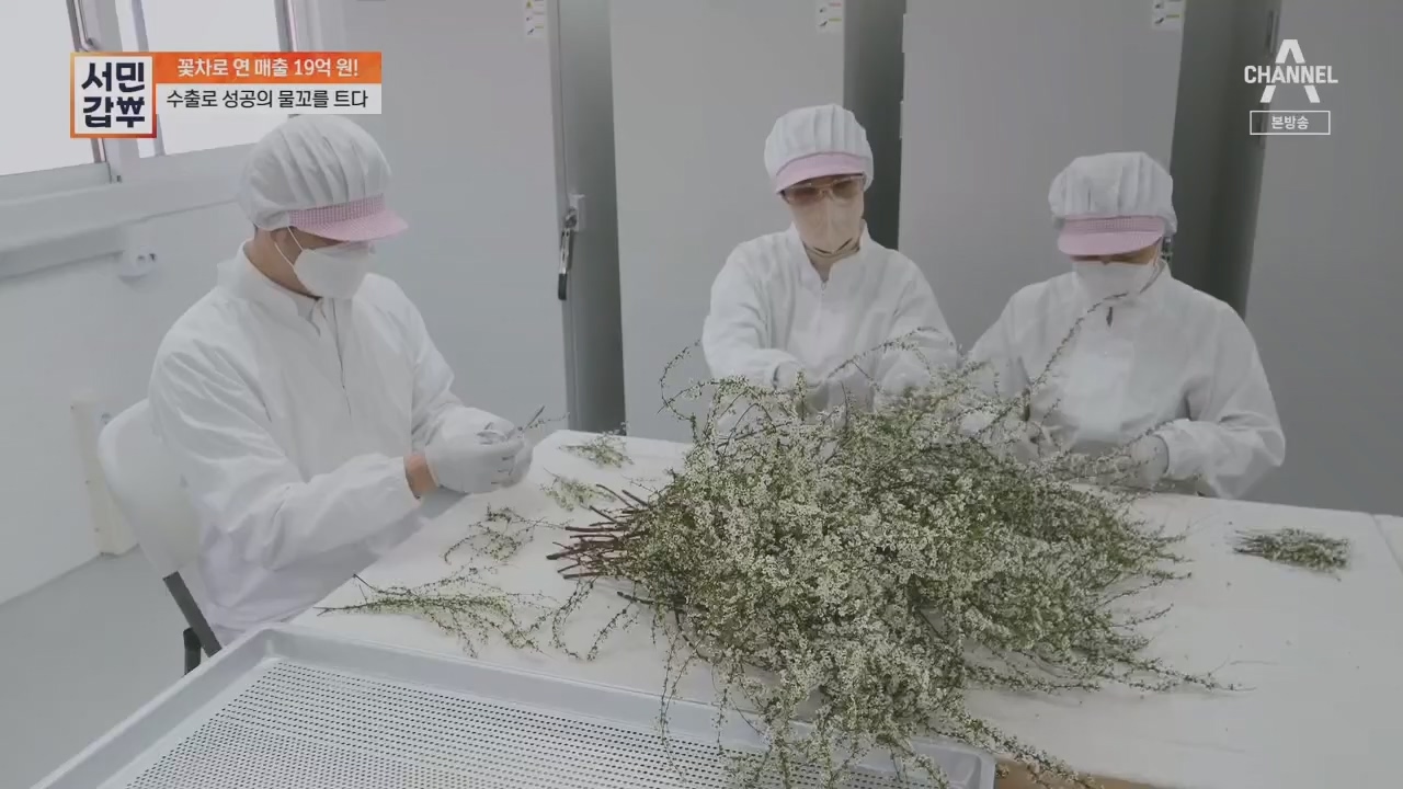 서민갑부.E431.230416p.H264-F1RST.mp4_20230417_203823.341.jpg