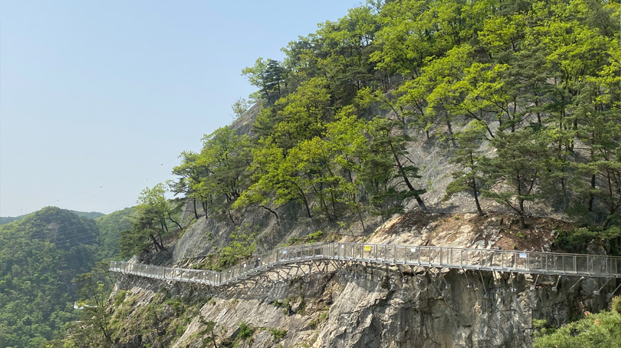 추운 겨울 정선 2박3일 여행 가볼만한 곳 05 - 정선아리랑시장, 회동집, 원주 소금산 출렁다리