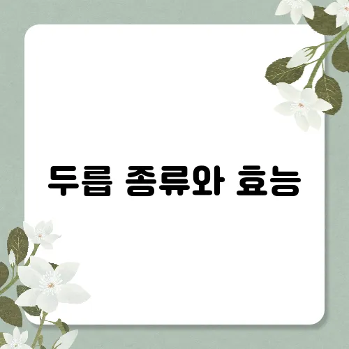 두릅 종류와 효능