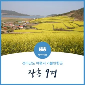 장흥 가볼만한곳 베스트10 현지인 추천 필수코스_37