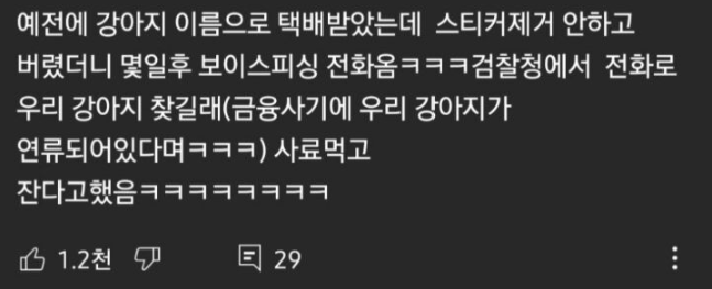  반려견 키울 때 조심해야 하는 것