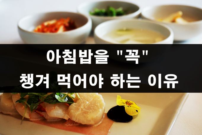  왜 아침식사는 꼭 먹어야 할까?