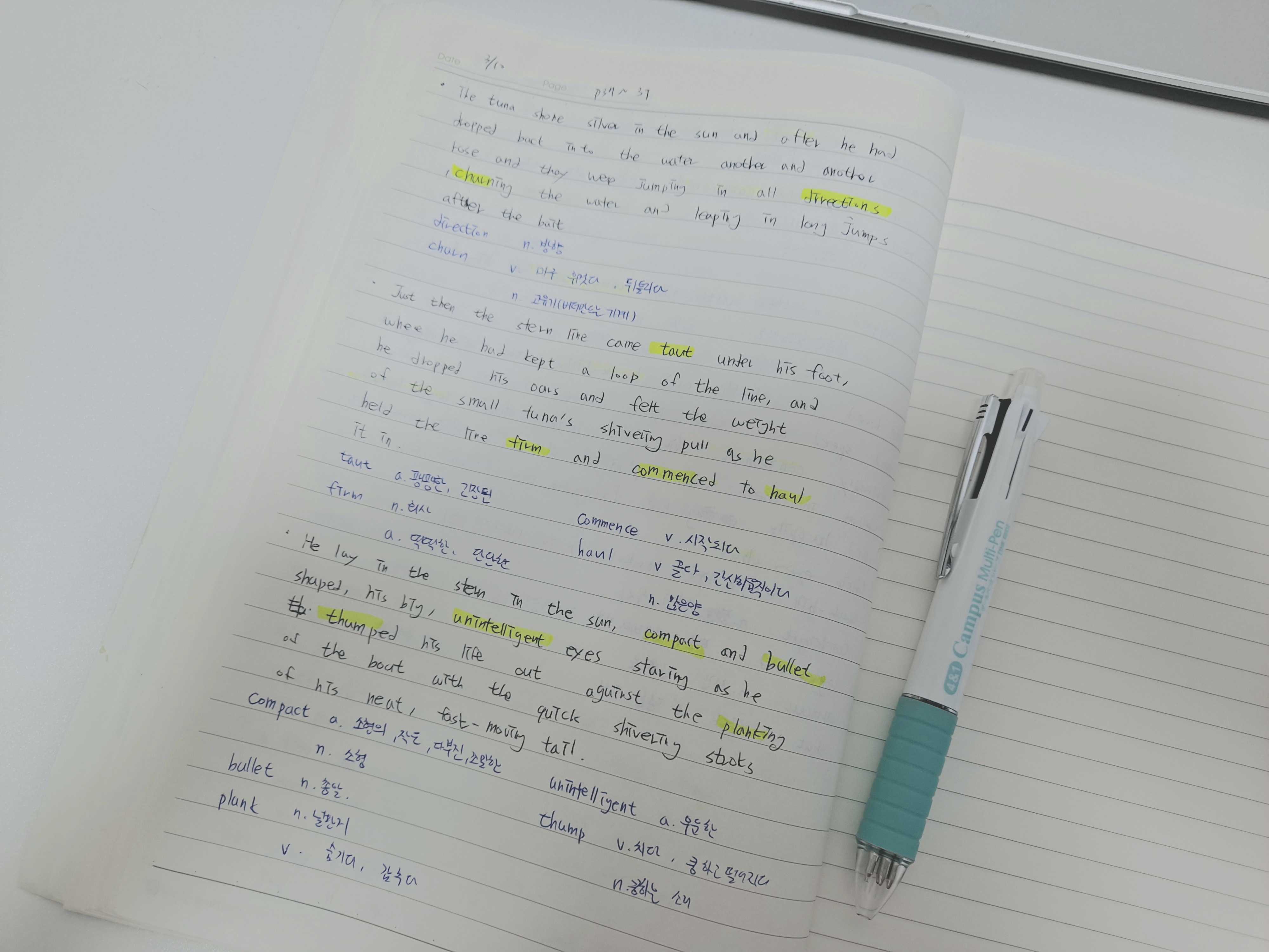 The old man and the sea 원서읽기 13일차,  고기 잡은날