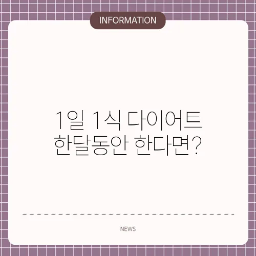 1일 1식 다이어트 한달동안 한다면?