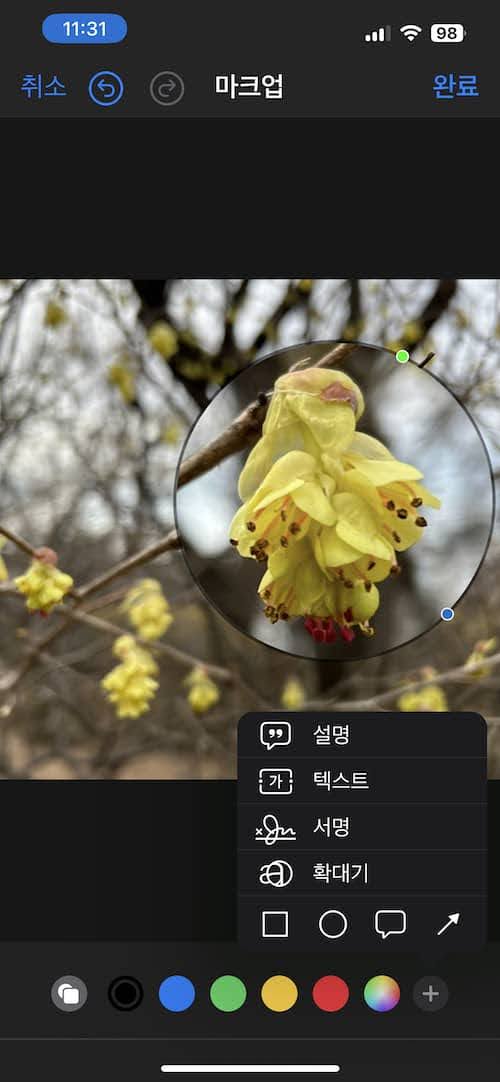 아이폰 사진 특정 부분 확대하기