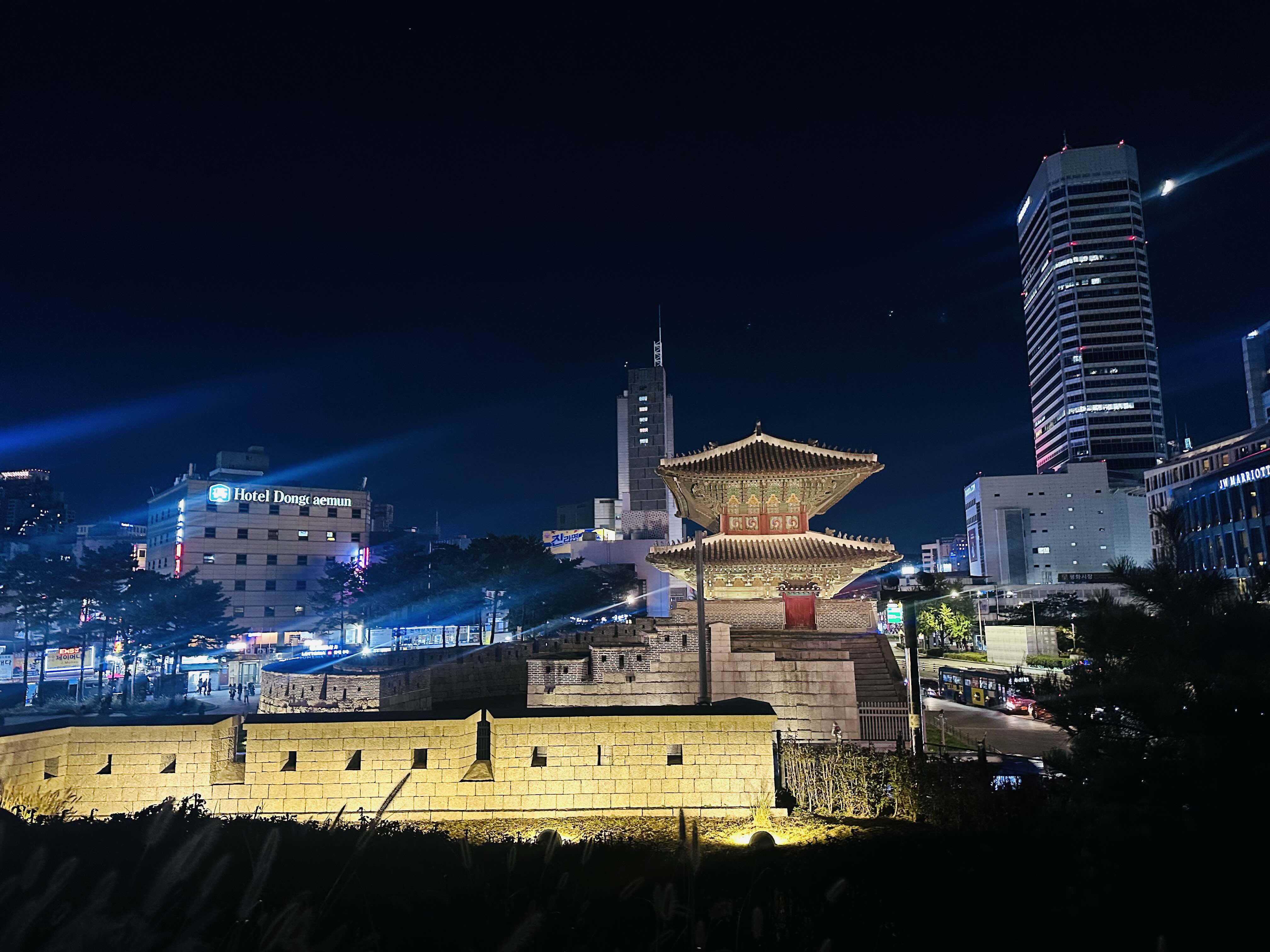 흥인지문 야경