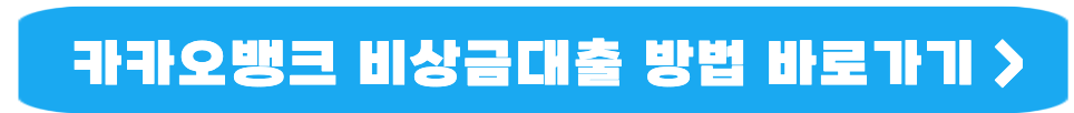 수협 새희망홀씨 정부지원대출 3