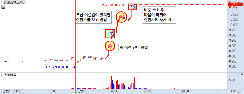 셀바스헬스케어 분봉 차트