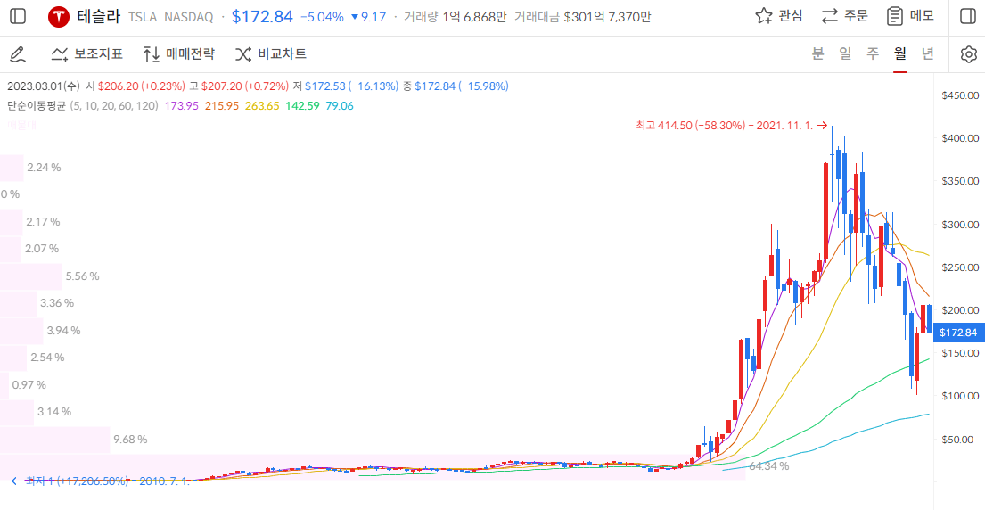 테슬라 주가 월봉