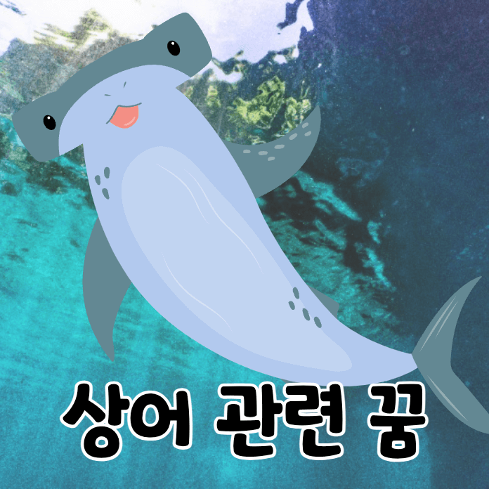 상어