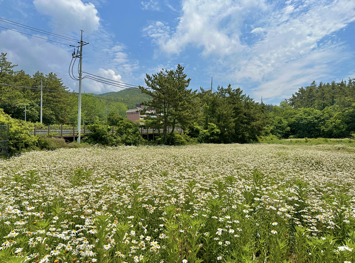 변산 45