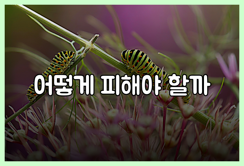 어떻게 피해야 할까