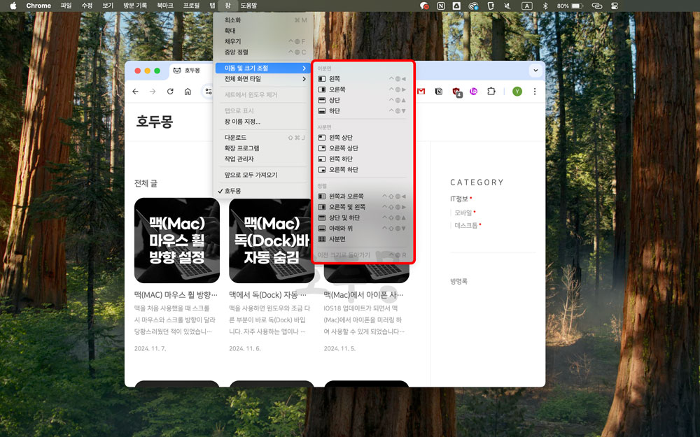 메뉴 옵션