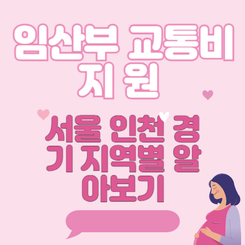 임산부 교통비 지원