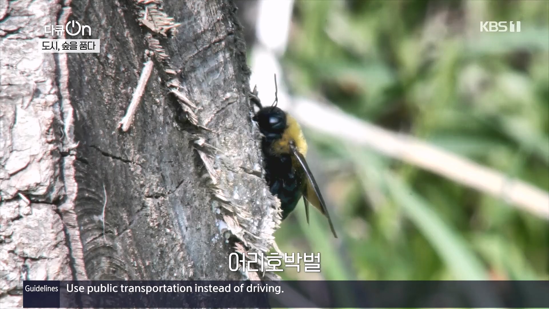 다큐 On.E232.231216p.H264-F1RST.mp4_20231220_204711.562.jpg