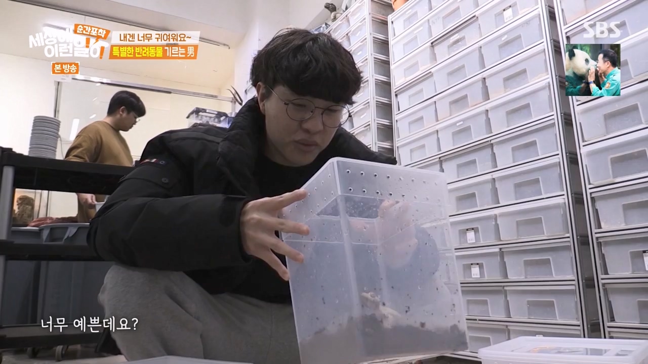 순간포착 세상에 이런일이.E1269.240317p-NEXT.mp4_20240317_163615.766.jpg