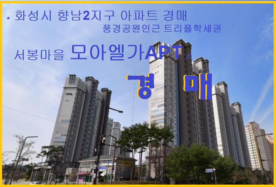 티스토리
