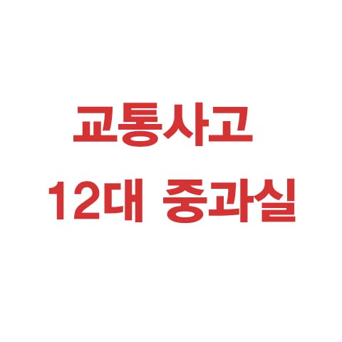  교통사고 12대 중과실