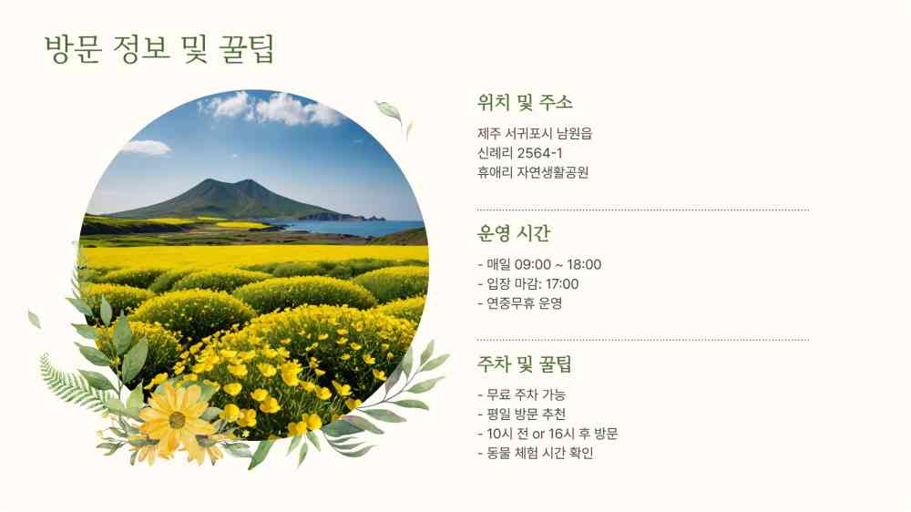 휴애리 유채꽃 축제