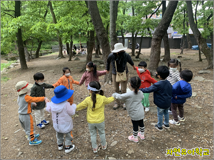 숲유치원 이미지