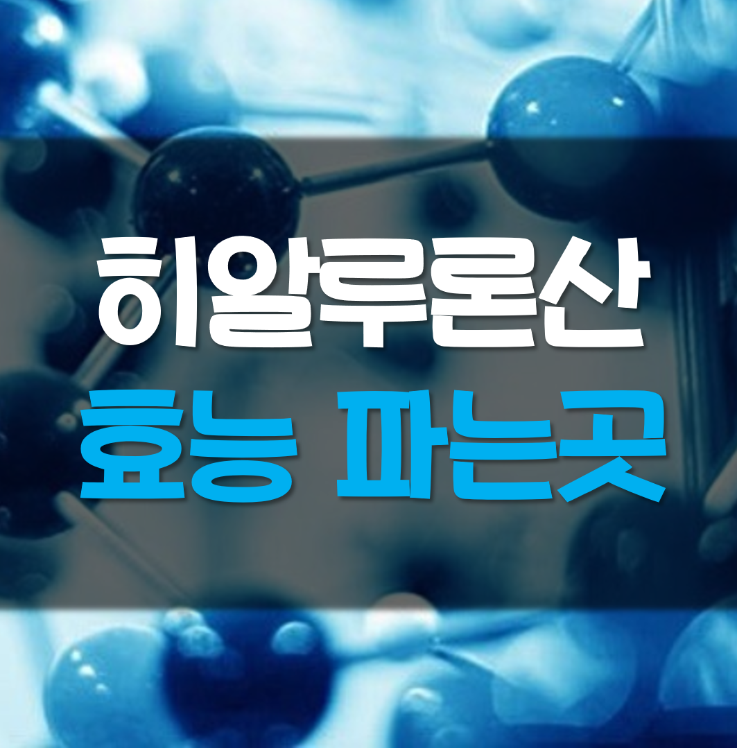  히알루론산 효능 파는곳