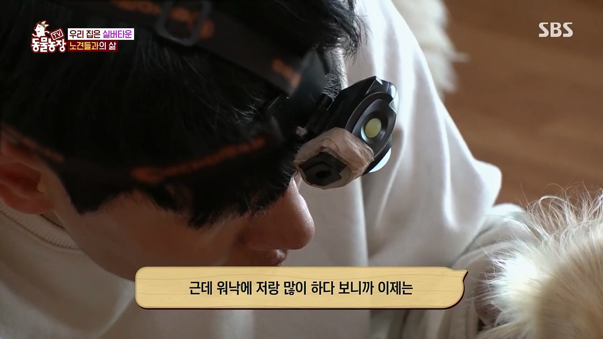 TV 동물농장.E1115.230409p.H264-F1RST.mp4_20230409_173054.556.jpg