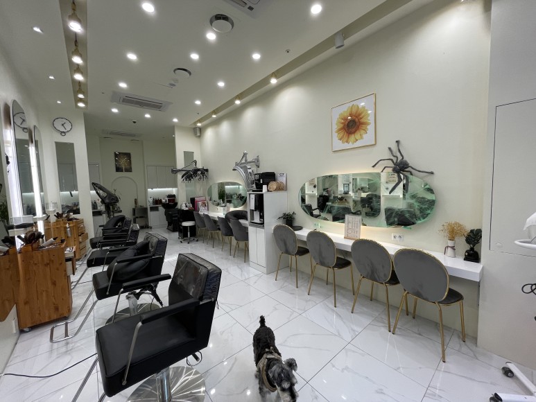 발레아주 색감 미쳤다 광교 미용실 애쉬그레이 10