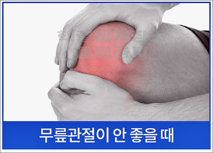 호관원 프리미엄 가격 효능14