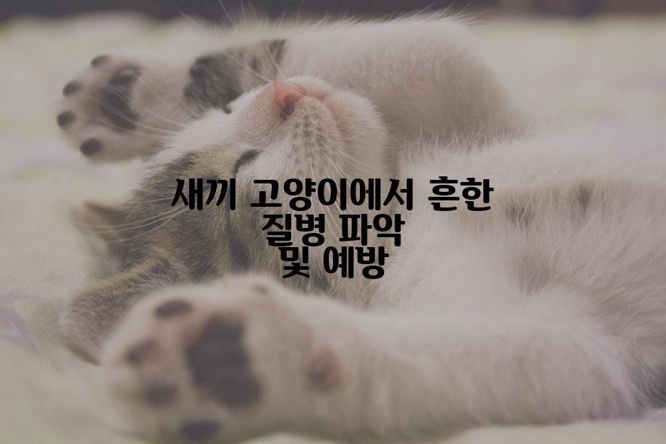 새끼 고양이에서 흔한 질병 파악 및 예방